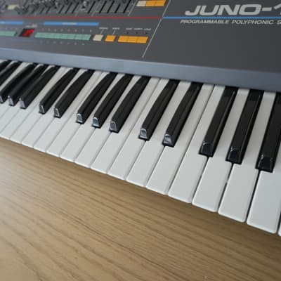 Roland Juno-106 ✅ treated original chips and pin sockets installed ✅ image 8