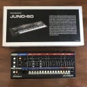 Roland JU-06A Boutique Series Synthesizer Module