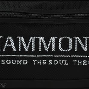 Hammond Sk1-73 Gig Bag image 4