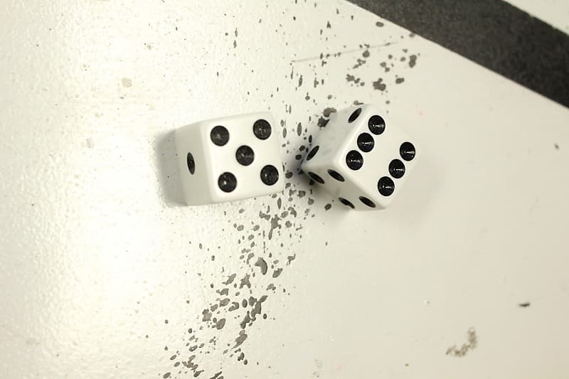 SGM 2 pc White & Black Dice Control Knobs Fit Split Shaft Reverb