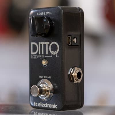 TC Electronic Ditto Looper image 3