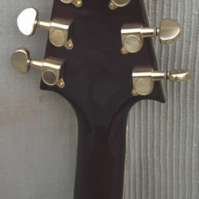 ALDEN Guitar Flyinf V Custom Shop 2000 one off ! image 3