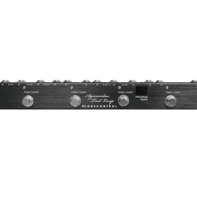One Control Agamidae Tail Loop | Reverb