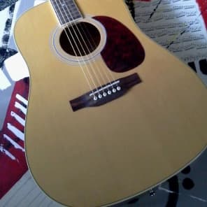 Hofner has d01 2025