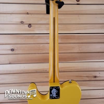 Fender Britt Daniel Tele Thinline - Amarillo Gold image 6