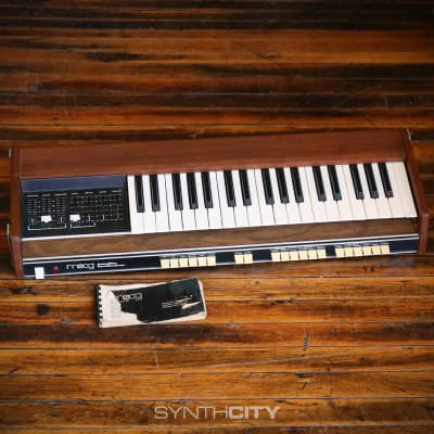 Moog Satellite 1973 - 1979 - Black
