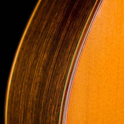 Graciliano Perez flamenco guitar “mixed earth” 2024 image 7
