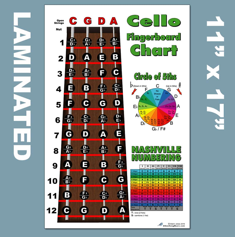 Laminated Cello Fingerboard Instructional Poster Nashville Reverb UK