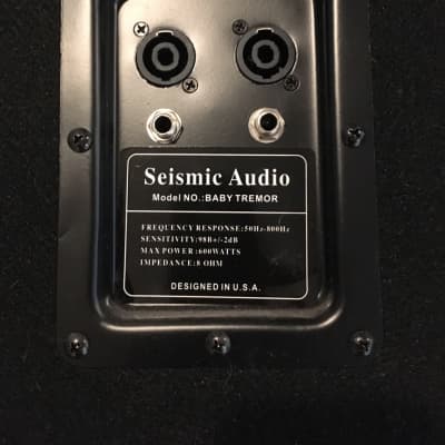 Seismic Audio Baby Tremor 15" Bass Cabinet image 3