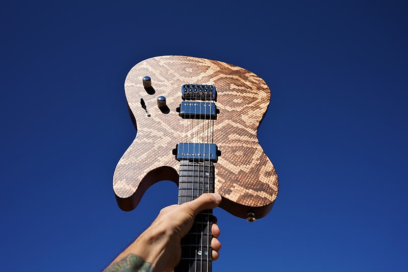 ESP USA TE-II Hardtail Snakeskin 6-String Electric Guitar w/ Form Fit Case (#4 of 10 Made Worldwide) image 1