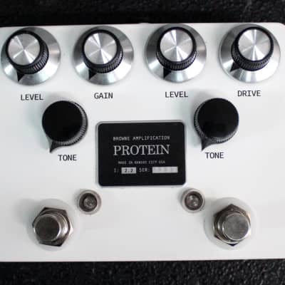 Browne Amplification Protein Dual Overdrive V2 | Reverb Canada