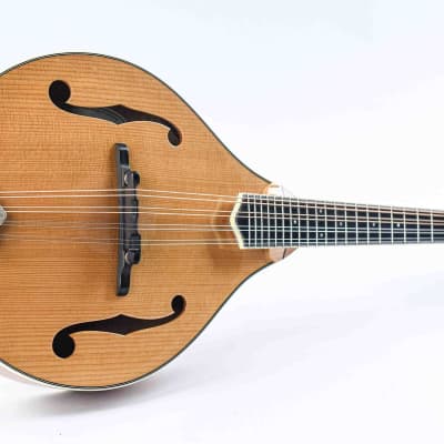 Bourgeois M5A Aged Tone Natural image 15