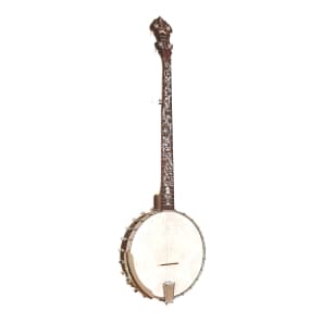 Gold Tone WL-250+ White Ladye Openback 5-String Banjo w/ Tree of Life Inlay