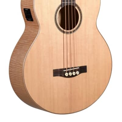 Teton STB130FMCENT Acoustic-Electric Bass, Solid Sitka Spruce Top image 7