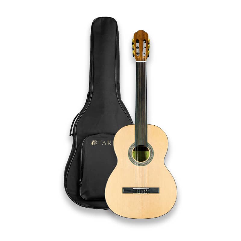  TARIO 39 Inch Electric cutaway Classical Guitar Full Size Acoustic  Guitar Thin body Spruce top Mahogany back and sides Okoume neck laurel  fingerboard : Musical Instruments