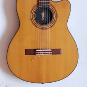 豊富な商品から Chet Gibson by Orville ジャンク Atkins ギブソン オービル CE ギター