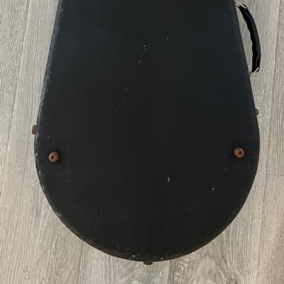 Mark Leaf Banjo case | Reverb