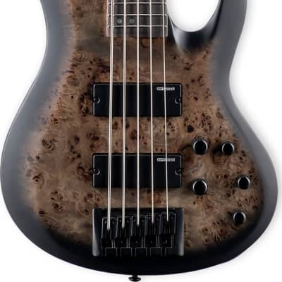 ESP LTD B-5 Ebony 5-String Bass Guitar, Ebony Fingerboard, Charcoal Burst Satin image 1