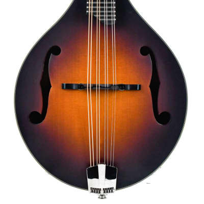 Eastman MD305E Sunburst image 1