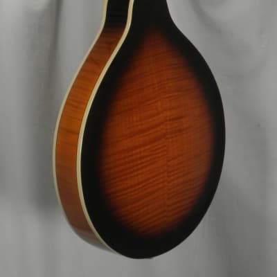 Gold Tone GM-50+: A-Style Mandolin with Pickup and Bag High Gloss Tobacco Sunburst image 7