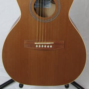 Seagull coastline deals grand acoustic guitar