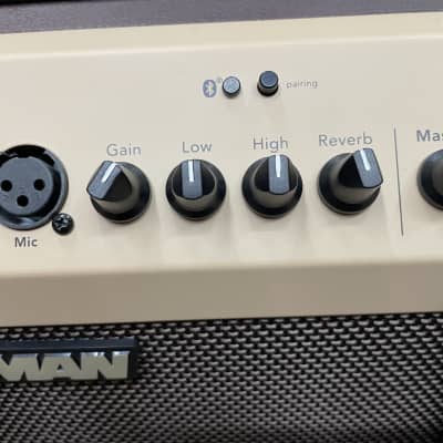 Fishman Loudbox Mini BT 60 Watt Acoustic Combo Amplifier image 3