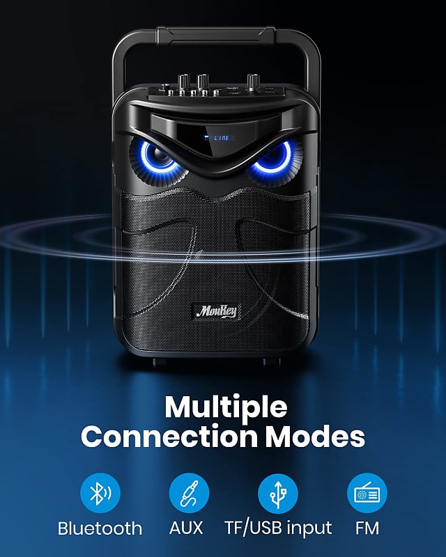 JYX Karaoke Machine with 2 UHF Wireless Microphones, Bluetooth Speaker with  Bass/Treble Adjustment and LED Light, PA System Support TWS, AUX in, FM