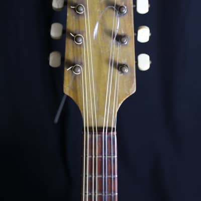 Georg Haid Mandolin Made in Germany Vintage image 2