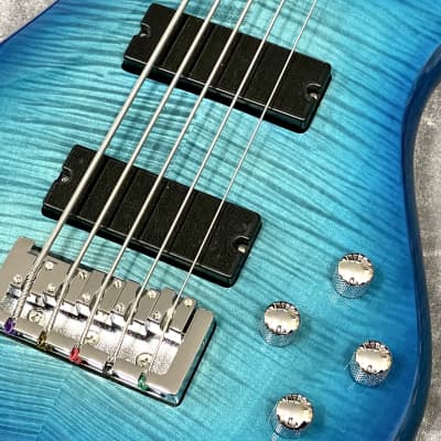 new】Spector / Legend 5 Standard Blue Stain Gloss #WI22080016 4.3