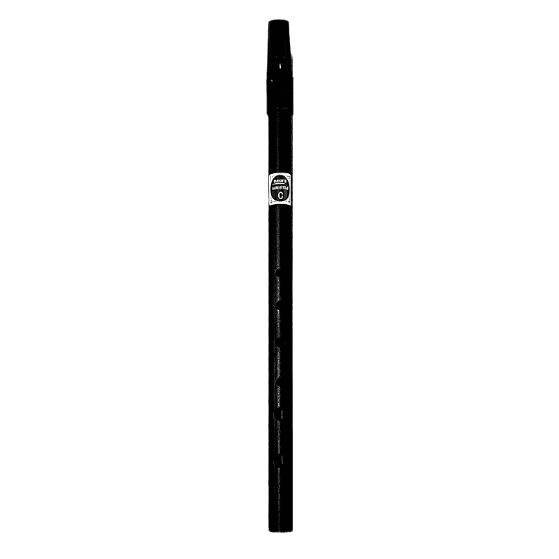 Irish Tin Penny Whistle, With Soft Black Whistle Pouch And Reverb