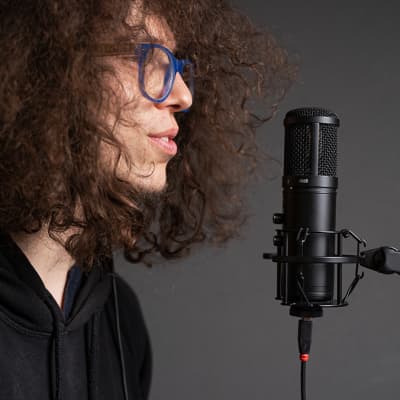 Antelope Audio Axino Synergy Core Cardioid USB Modeling Microphone 2021-Present Black image 11