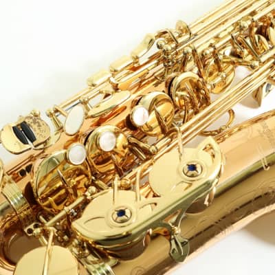 Yanagisawa A-Wo20 Alto Saxophone image 4