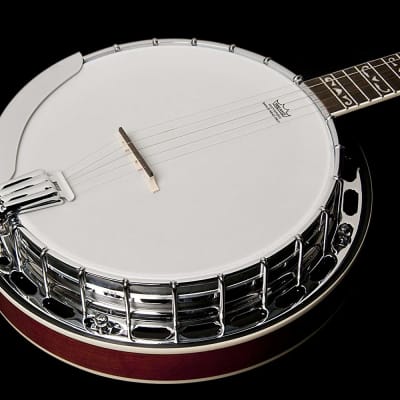 Washburn Americana Series 5-String Banjo w/ Deluxe Hard Case image 2