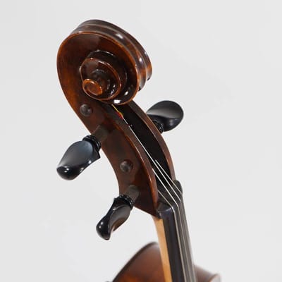 Eastman VC305 Andreas Eastman Step Up Professional Series Cello - 3/4 image 4