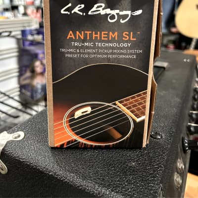 L.R.Baggs Anthem Split saddle version (for Lowden, Takamine) | Reverb