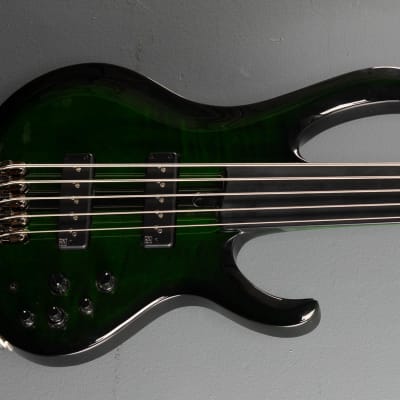 Ibanez Steve Di Giorgio SDGB1 Fretless Bass - Dark Moss Burst image 1