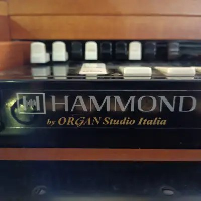 Hammond  M3 Portable image 5