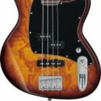 Ibanez Talman Bass Standard Electric Bass - Iced Americano Burst for sale