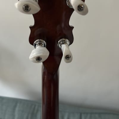 Richwood Master Series Open Back 5-String Folk Banjo RMB-405. Gig bag included image 5