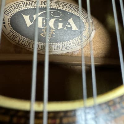 Vega Cylinder Back Mandolin  #SR 11-106 1920's - Natural image 3