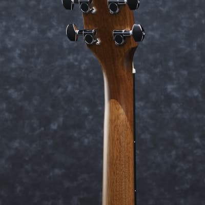 Ibanez Artwood Acoustik Series guitar 6 String Open Pore Natural image 4