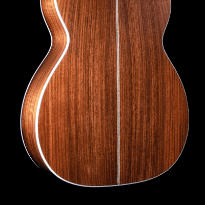 Eastman DT30 OM, Double Top Orchestra Model, Sitka, Indian Rosewood, Short Scale - VIDEO image 8