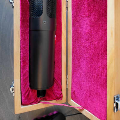 Stam Audio SA-800 Mk 1 - Tube Condenser Microphone - 2021 image 5