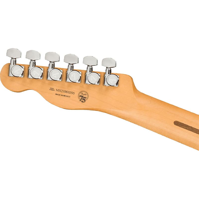 Fender Player Plus Nashville Telecaster | Reverb