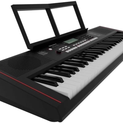 Roland E-X10 - 61-Key Touch Sensitive Arranger Keyboard EX10