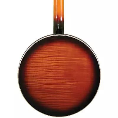 Gold Tone OB-250/L Professional Orange Blossom 5-String Bluegrass Banjo w/Hard Case For Lefty Player image 3