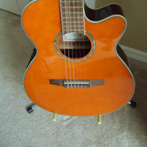 Ibanez AEG10NE Nylon String Cutaway Acoustic-Electric Guitar image 2