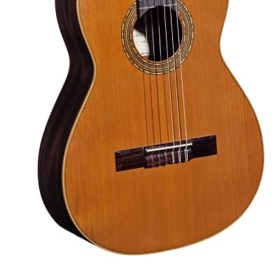 Spanish Classical Guitar VALDEZ MODEL 63 SENORITA LH (ladies' guitar) - left hand - solid cedar top image 1