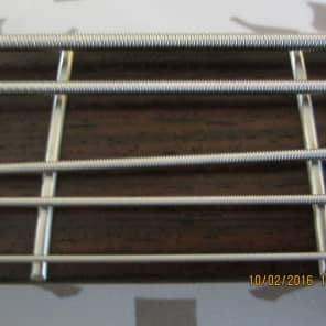 Hamer Chaparral  5 String Bass USA  1992 Iridescent Reverse Headstock W/Original Case image 12