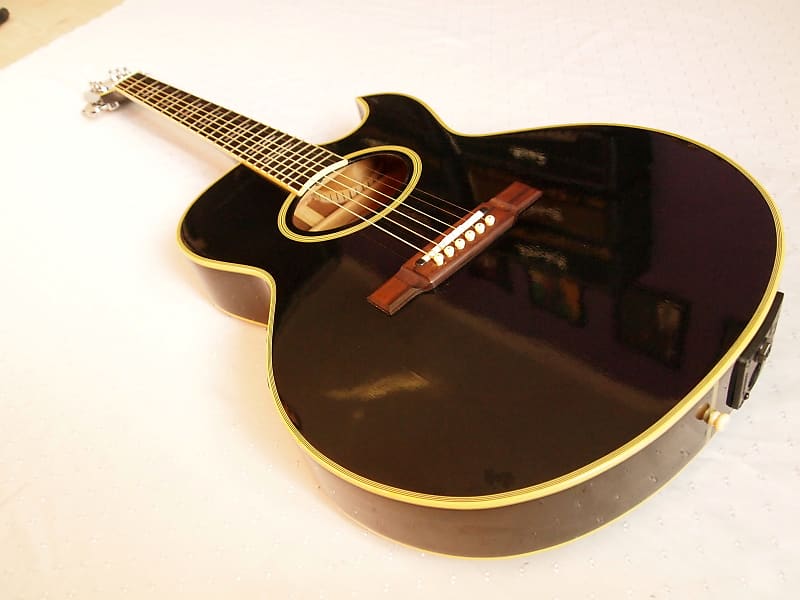 ギター Washburn EA22B PLATINUM EDITION Washburn EA-22 {Platinum Edition} | Nuno Bettencourt Signatu